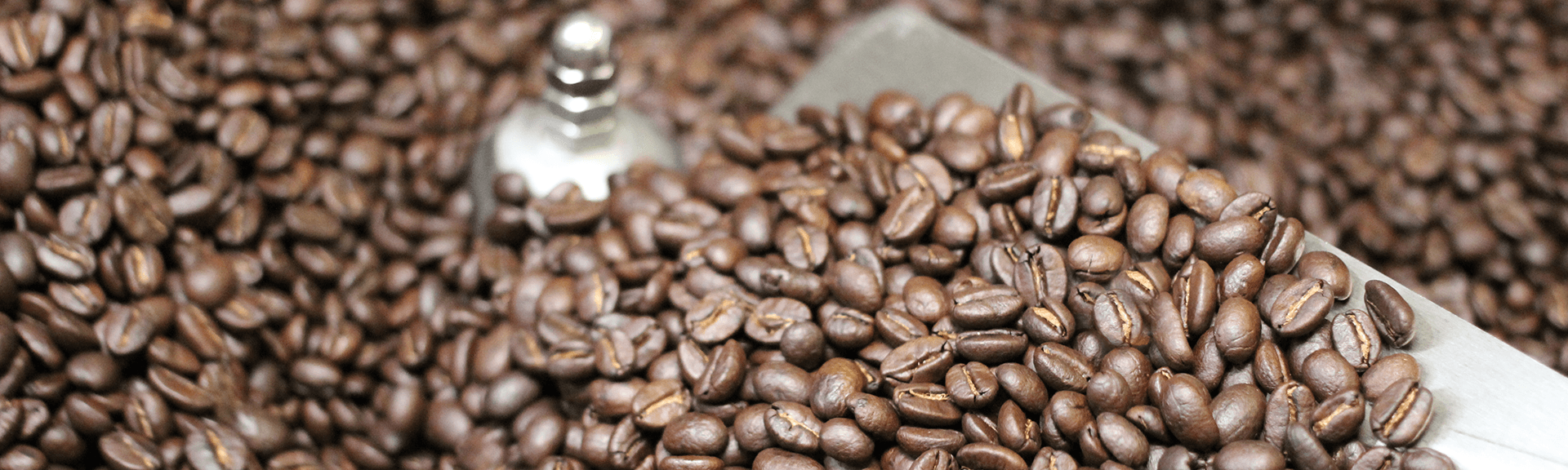 A Guide to Buying Coffee Beans Online The Proper Coffee Co