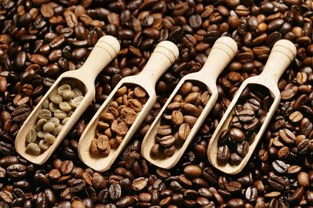 Coffee Roasting 101 | Roasting Types