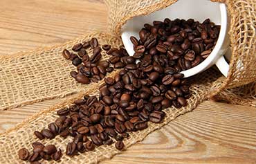 Arabica vs Robusta Coffee Beans – What’s the Difference?