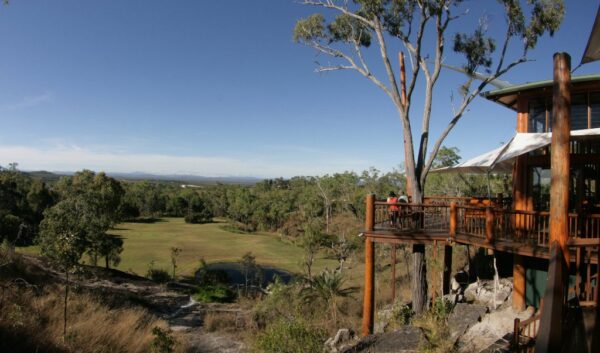 Skybury Coffee Plantation Queensland Australia