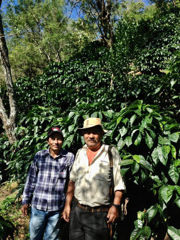 William Dias - El Salvador - Coffee Farm