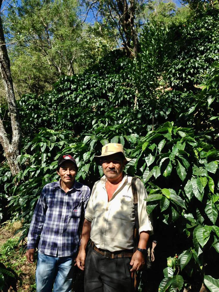 William Dias - El Salvador - Coffee Farm