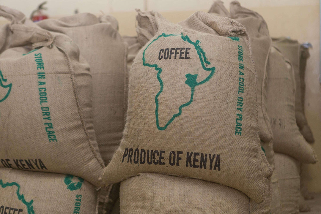 Kenya, Aberdare Peak AA Speciality Coffee - Image 2